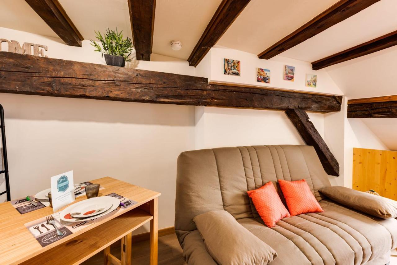Le Cocooning - Small Of 20 Square Meter In The Heart Of * Annecy